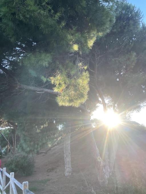 Estupendo Duplex A 5 Min Andando De La Playa Apartment Marbella Luaran gambar
